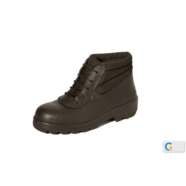 BOTIN PEGASUS