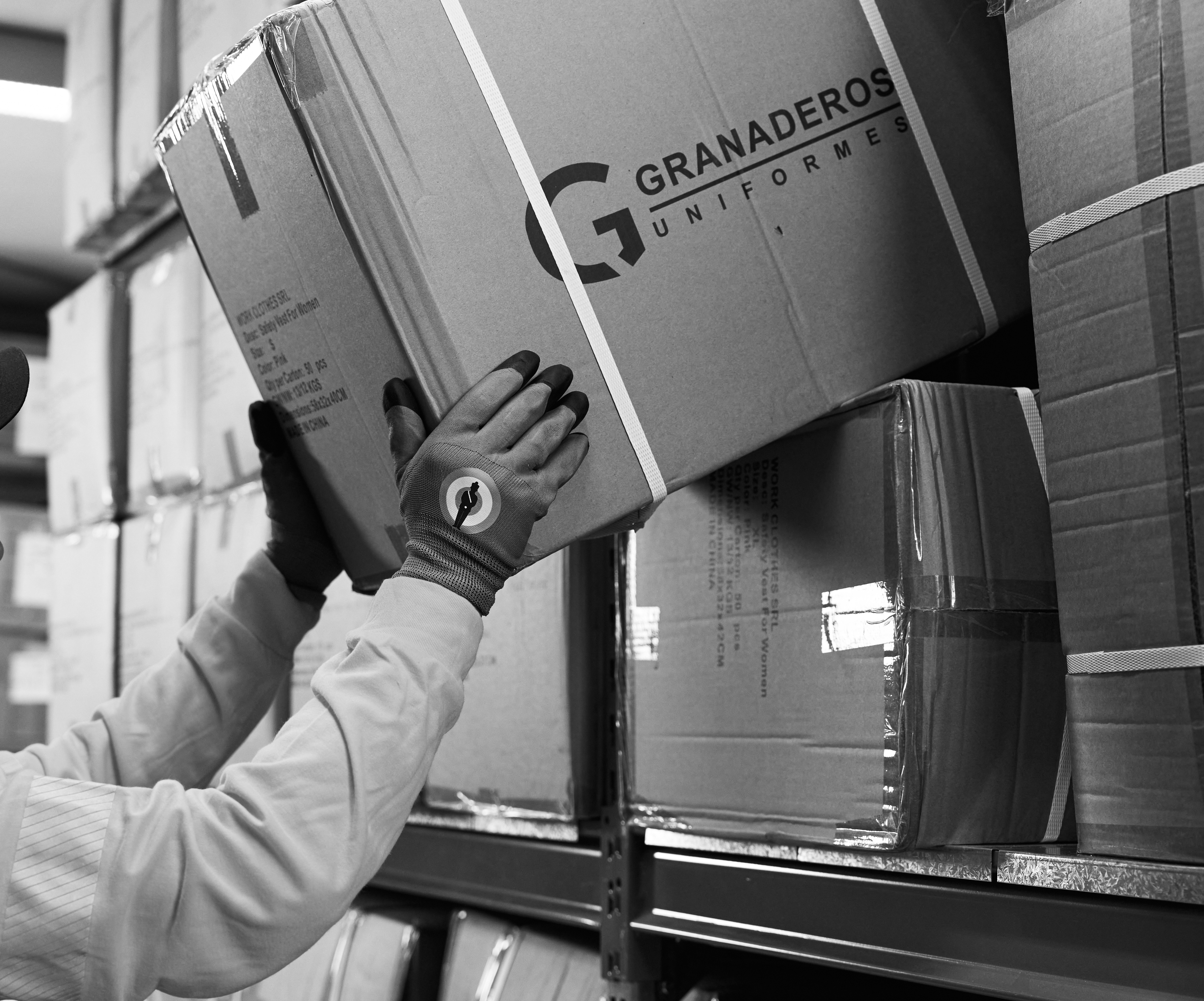 LOGISTICA